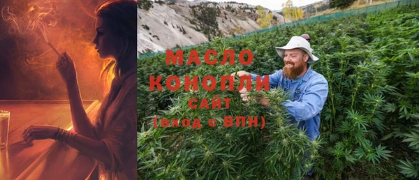 крисы Магас
