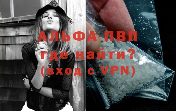 крисы Магас
