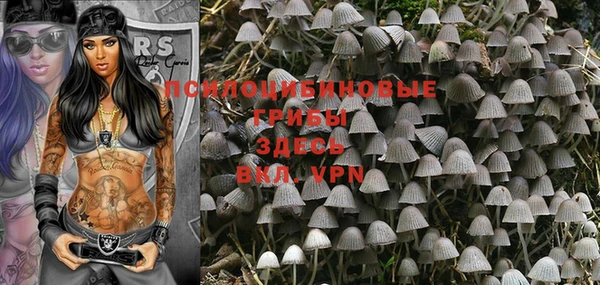 индика Майский