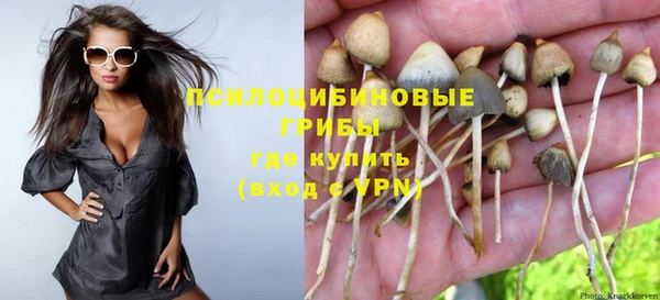 крисы Магас
