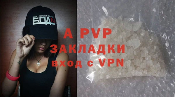 крисы Магас