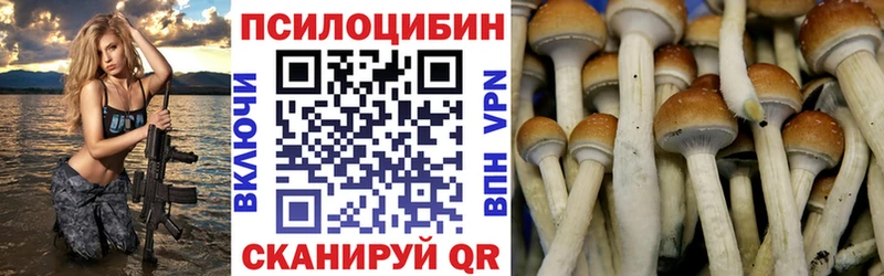 Купить закладки  Мышкин  Псилоцибиновые грибы Magic Shrooms 