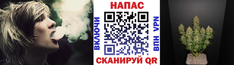 Купить где  Мышкин  Бошки Шишки OG Kush 